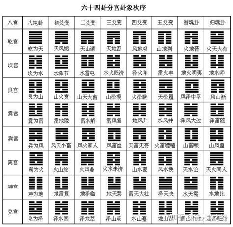 震宫|震卦类象详解大全